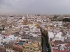 100_4177.jpg